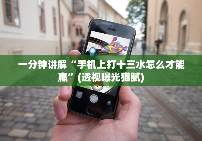 一分钟讲解“手机上打十三水怎么才能赢”(透视曝光猫腻)