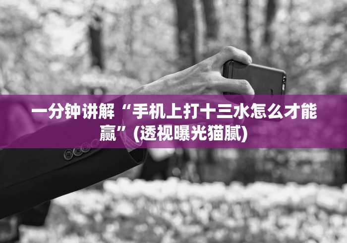 一分钟讲解“手机上打十三水怎么才能赢”(透视曝光猫腻)