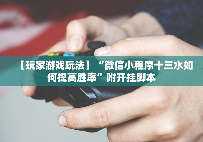 【玩家游戏玩法】“微信小程序十三水如何提高胜率”附开挂脚本