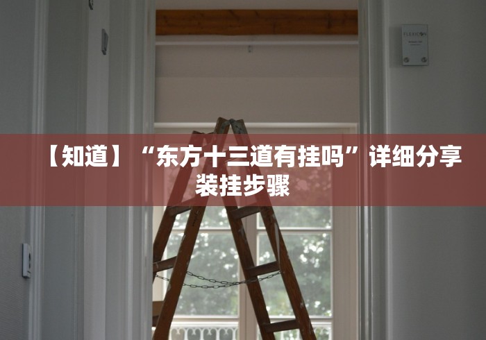 【知道】“东方十三道有挂吗”详细分享装挂步骤