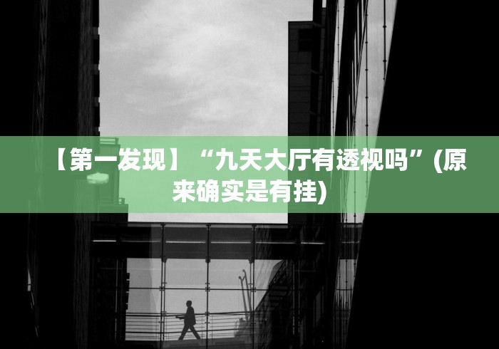 【第一发现】“九天大厅有透视吗”(原来确实是有挂)