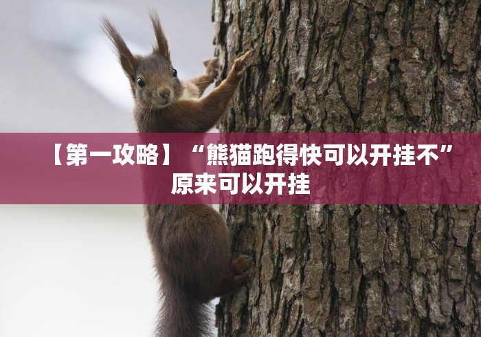 【第一攻略】“熊猫跑得快可以开挂不”原来可以开挂