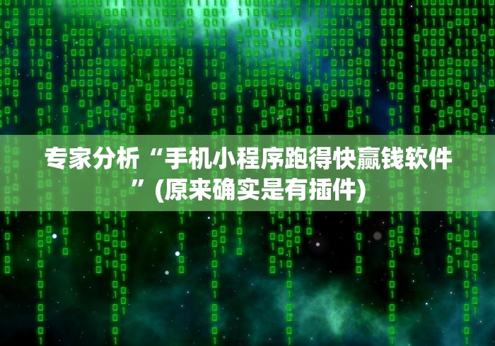 专家分析“手机小程序跑得快赢钱软件”(原来确实是有插件)