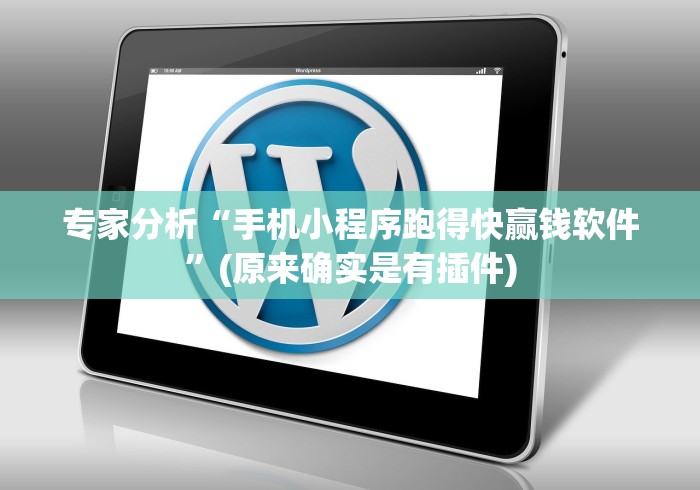 专家分析“手机小程序跑得快赢钱软件”(原来确实是有插件)