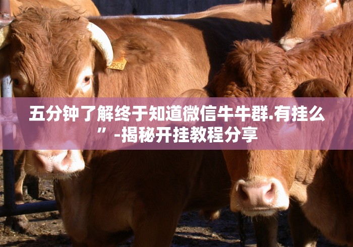 五分钟了解终于知道微信牛牛群.有挂么”-揭秘开挂教程分享