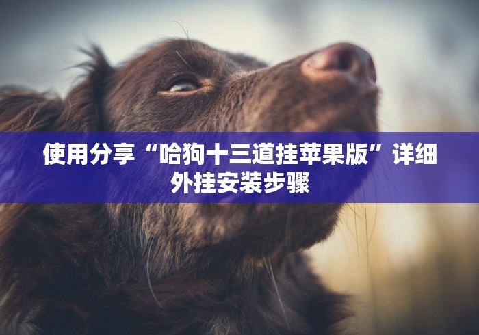 使用分享“哈狗十三道挂苹果版”详细外挂安装步骤