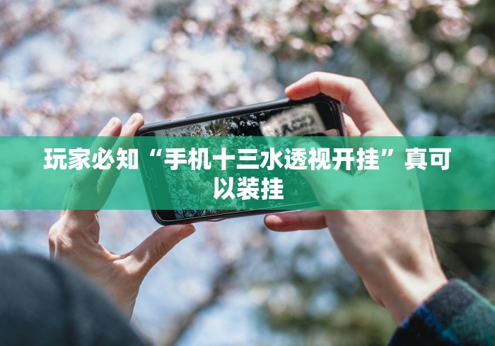 玩家必知“手机十三水透视开挂”真可以装挂