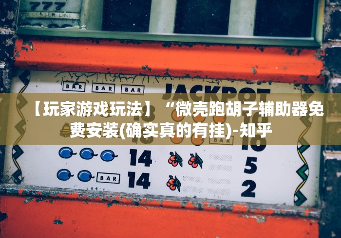 【玩家游戏玩法】“微壳跑胡子辅助器免费安装(确实真的有挂)-知乎