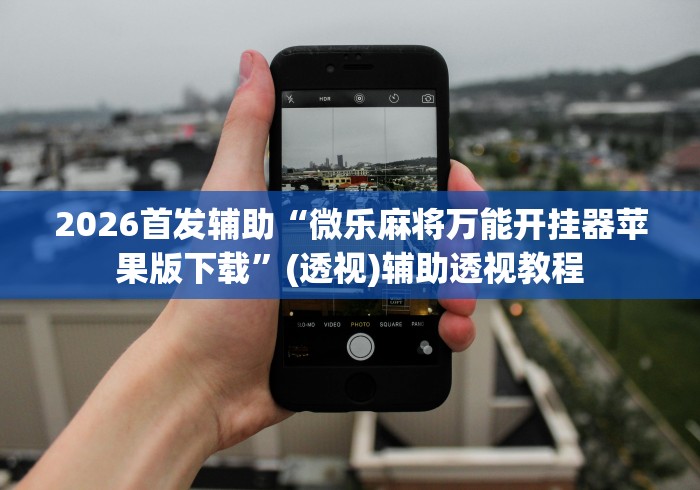 2026首发辅助“微乐麻将万能开挂器苹果版下载”(透视)辅助透视教程