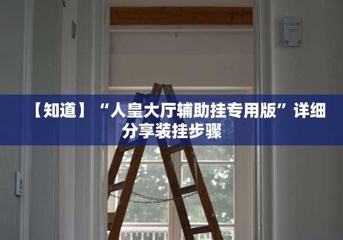 【知道】“人皇大厅辅助挂专用版”详细分享装挂步骤