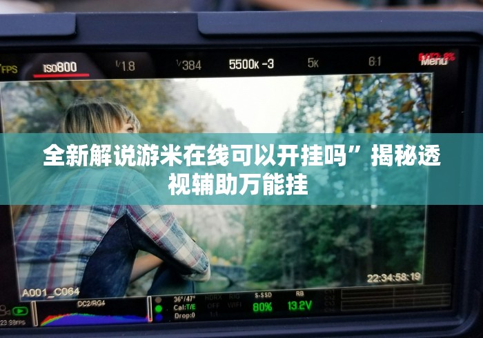 全新解说游米在线可以开挂吗”揭秘透视辅助万能挂 