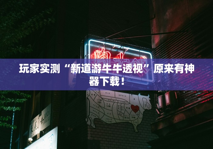 玩家实测“新道游牛牛透视”原来有神器下载！
