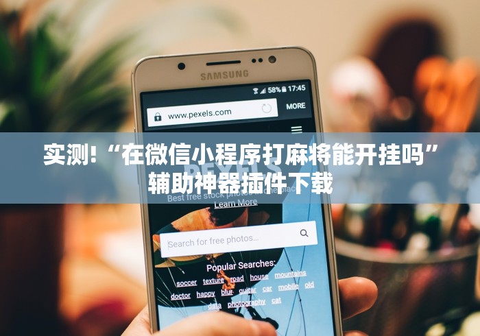 实测!“在微信小程序打麻将能开挂吗”辅助神器插件下载