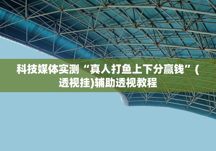 科技媒体实测“真人打鱼上下分赢钱”(透视挂)辅助透视教程