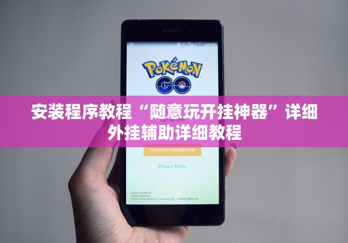 安装程序教程“随意玩开挂神器”详细外挂辅助详细教程