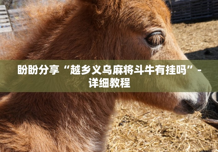 盼盼分享“越乡义乌麻将斗牛有挂吗”-详细教程