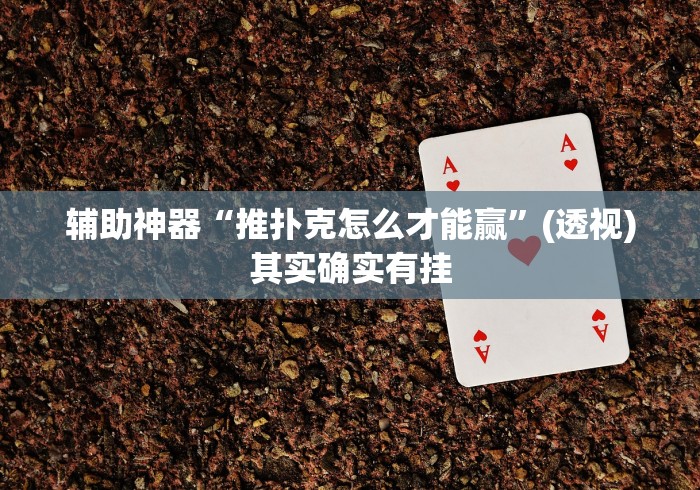 辅助神器“推扑克怎么才能赢”(透视)其实确实有挂