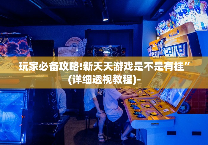 玩家必备攻略!新天天游戏是不是有挂”(详细透视教程)-