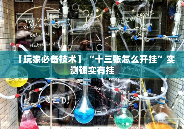 【玩家必备技术】“十三张怎么开挂”实测确实有挂