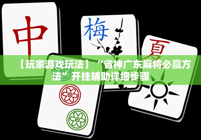 【玩家游戏玩法】“省神广东麻将必赢方法”开挂辅助详细步骤