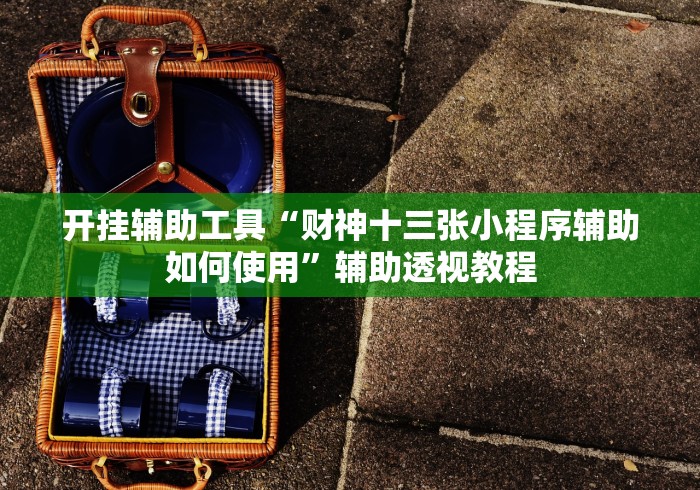 开挂辅助工具“财神十三张小程序辅助如何使用”辅助透视教程