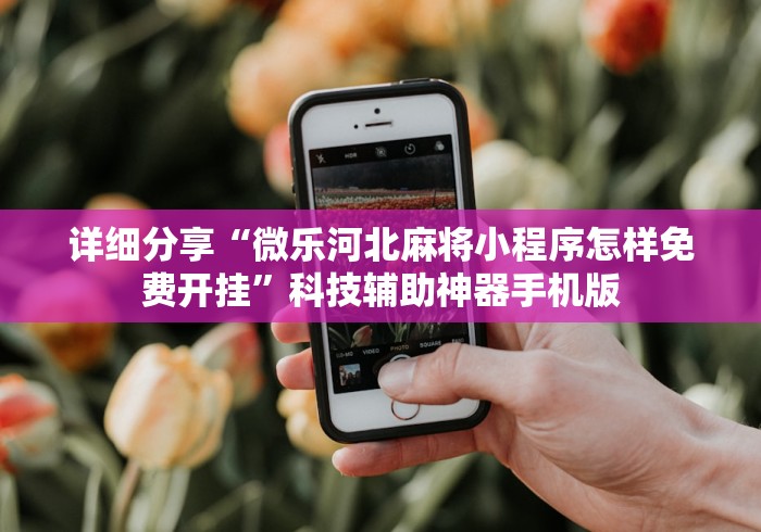 详细分享“微乐河北麻将小程序怎样免费开挂”科技辅助神器手机版