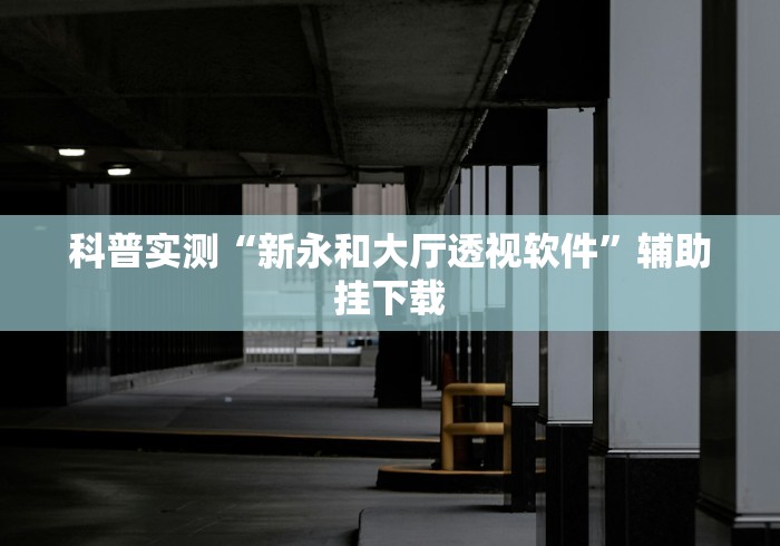 科普实测“新永和大厅透视软件”辅助挂下载