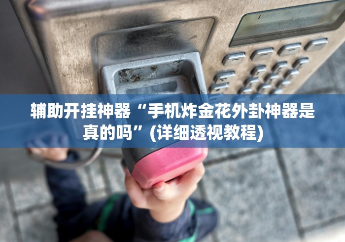 辅助开挂神器“手机炸金花外卦神器是真的吗”(详细透视教程)