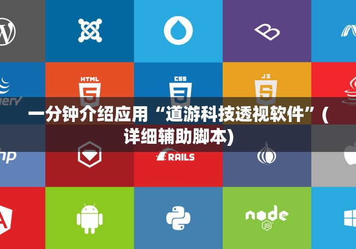 一分钟介绍应用“道游科技透视软件”(详细辅助脚本)