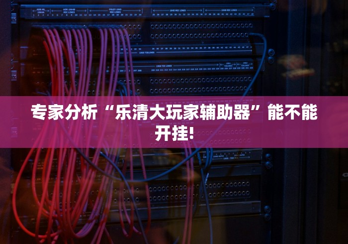 专家分析“乐清大玩家辅助器”能不能开挂!