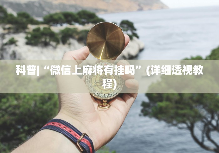 科普|“微信上麻将有挂吗”(详细透视教程)