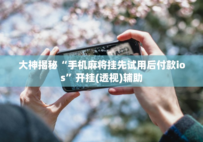大神揭秘“手机麻将挂先试用后付款ios”开挂(透视)辅助