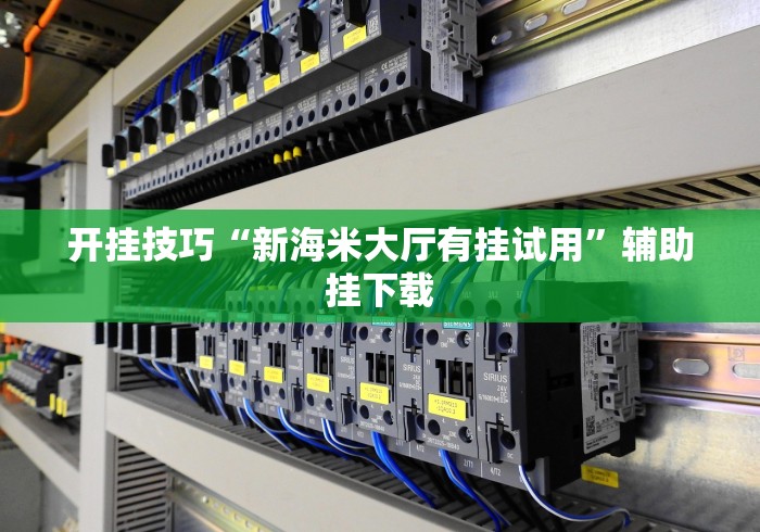 开挂技巧“新海米大厅有挂试用”辅助挂下载