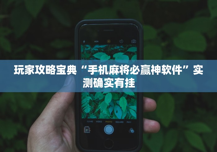 玩家攻略宝典“手机麻将必赢神软件”实测确实有挂