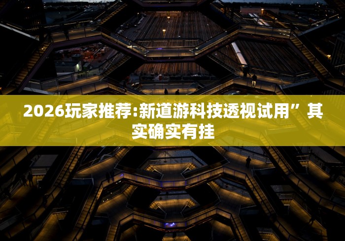 2026玩家推荐:新道游科技透视试用”其实确实有挂