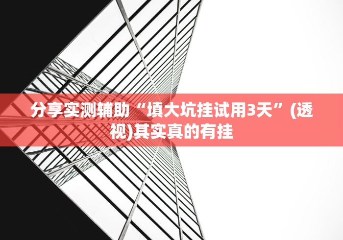 分享实测辅助“填大坑挂试用3天	”(透视)其实真的有挂