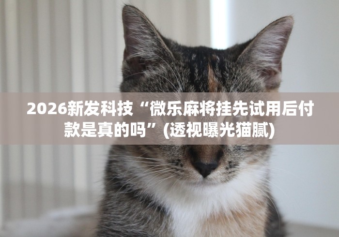2026新发科技“微乐麻将挂先试用后付款是真的吗”(透视曝光猫腻)