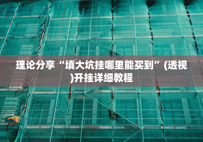 理论分享“填大坑挂哪里能买到”(透视)开挂详细教程