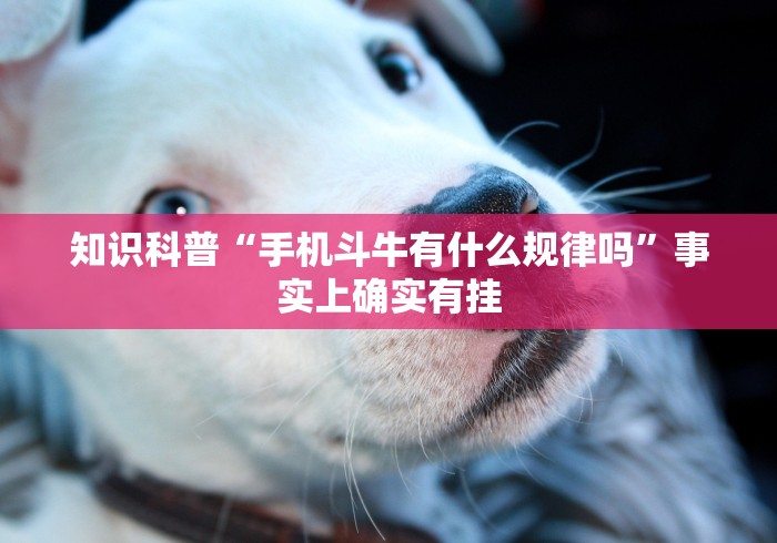 知识科普“手机斗牛有什么规律吗”事实上确实有挂