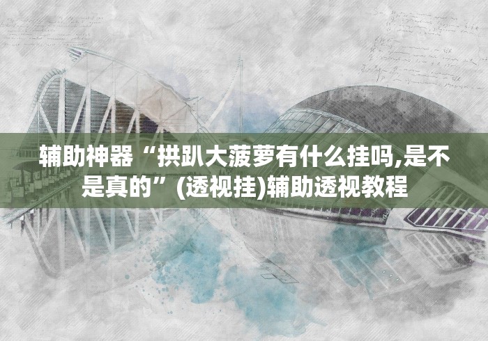 辅助神器“拱趴大菠萝有什么挂吗,是不是真的”(透视挂)辅助透视教程