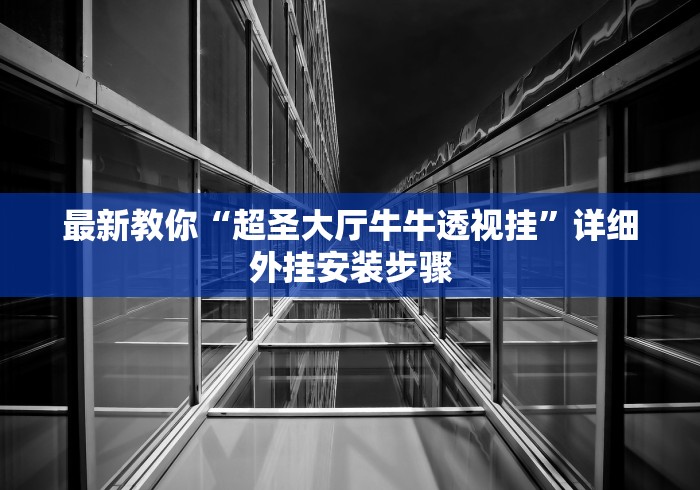 最新教你“超圣大厅牛牛透视挂	”详细外挂安装步骤