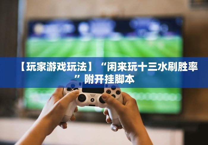 【玩家游戏玩法】“闲来玩十三水刷胜率	”附开挂脚本