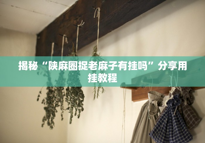 揭秘“陕麻圈捉老麻子有挂吗”分享用挂教程