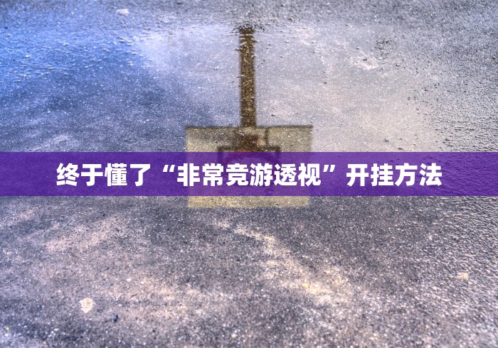 终于懂了“非常竞游透视	”开挂方法