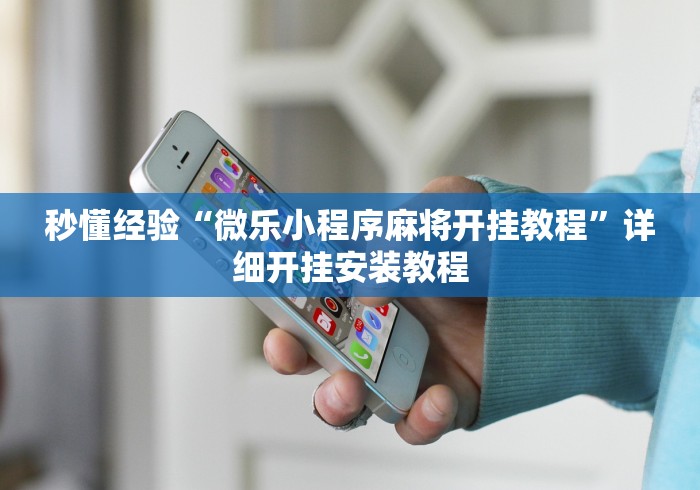 秒懂经验“微乐小程序麻将开挂教程”详细开挂安装教程