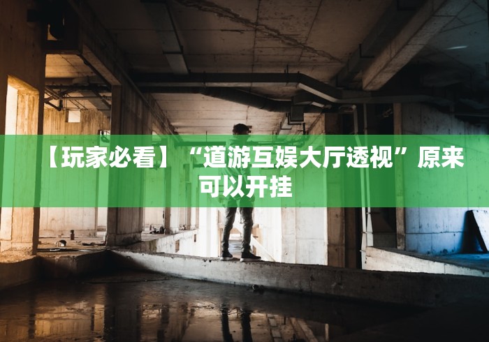 【玩家必看】“道游互娱大厅透视”原来可以开挂
