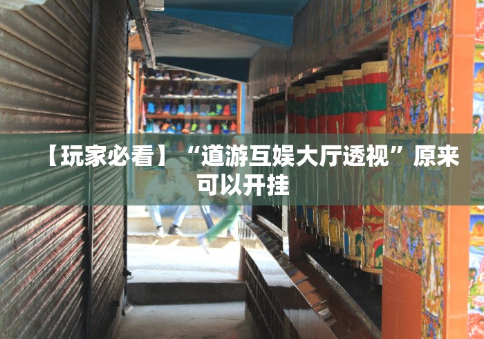 【玩家必看】“道游互娱大厅透视”原来可以开挂