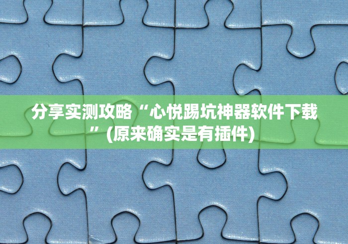 分享实测攻略“心悦踢坑神器软件下载”(原来确实是有插件) 