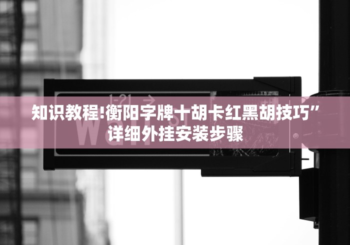 知识教程!衡阳字牌十胡卡红黑胡技巧	”详细外挂安装步骤