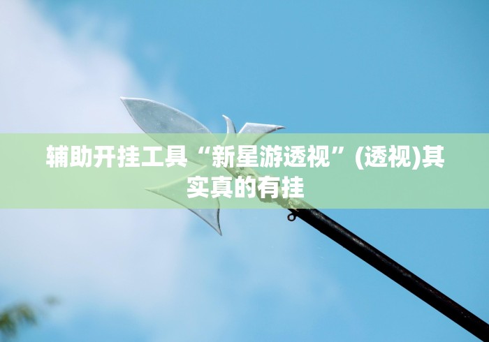 辅助开挂工具“新星游透视”(透视)其实真的有挂